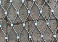 Climber Plant Trellis Netting Stainless Steel Webnet Kabel Ferrule Fasad Hijau 7 X 7